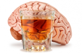 alcohol-and-the-brain