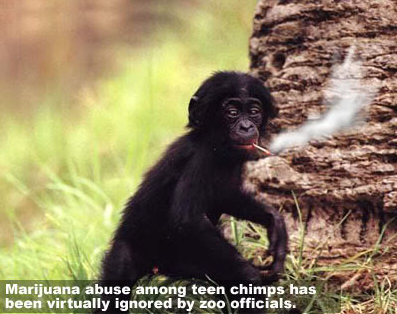 marijuana abuse